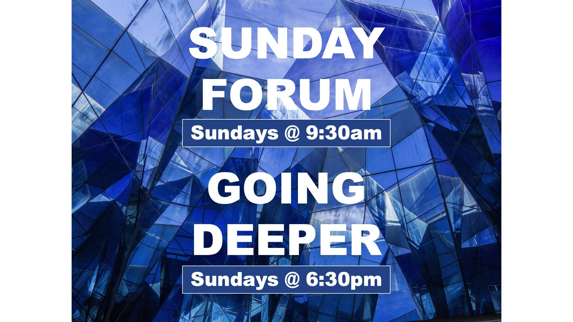 Sunday Forum & Going Deeper