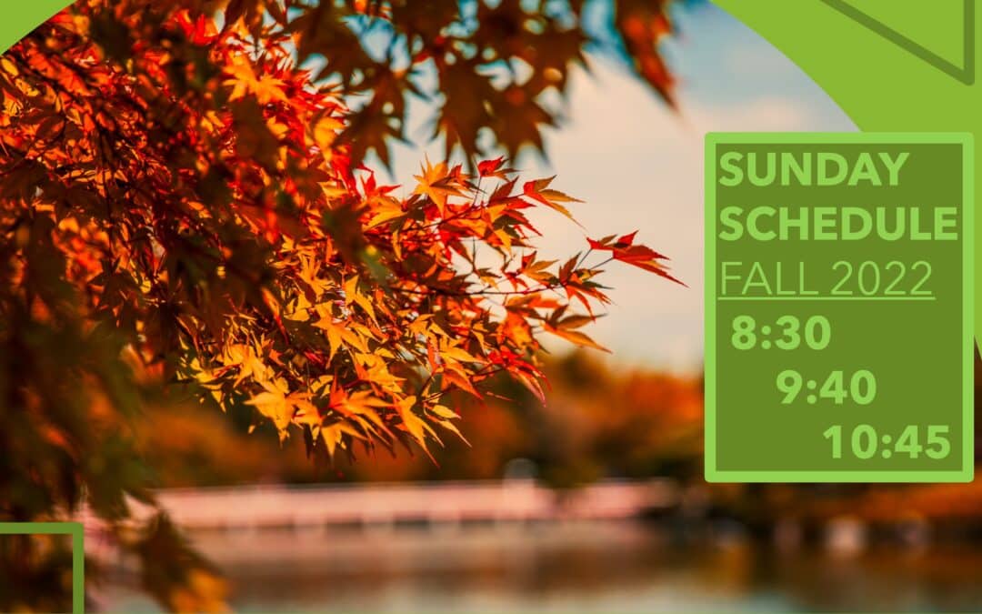What To Expect Sunday Mornings